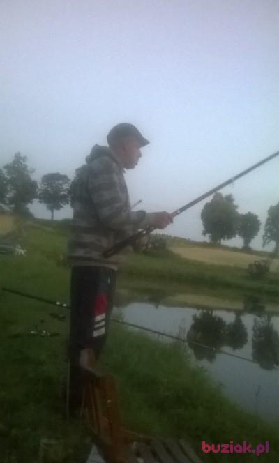 Marek, Mężczyzna, 68, Bydgoszcz, Polska, Zdjęcie: 2