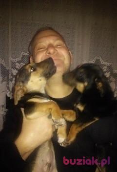 Jacek, Mężczyzna, 55, Ostrów Mazowiecka, Polska, Zdjęcie: 1