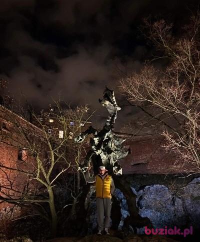 Piotrvip, Mężczyzna, 43, Greenwich, USA, Zdjęcie: 7