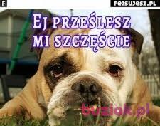 Mirek, Mężczyzna, 47, Polska, Zdjęcie: 4