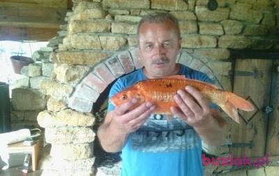 Janek, Mężczyzna, 65, Chmielnik, Polska, Zdjęcie: 5