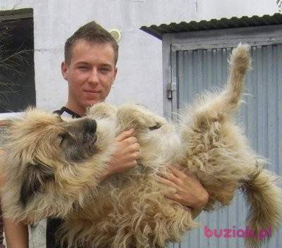 Marek, Mężczyzna, 37, Birmingham, Wielka Brytania, Zdjęcie: 2