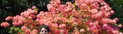 Ania, Kobieta, 45, Warszawa, Polska, Zdjęcie: 2