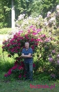 wszystkie, Male, 70, Kraków, Polska, Photo: 4