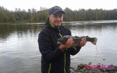 Jarek, Mężczyzna, 63, Konin, Polska, Zdjęcie: 2