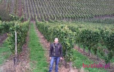 artur, Male, 37, Łańcut, Polska, Photo: 3