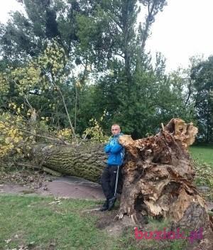 Wojciech, Mężczyzna, 34, Poznań, Polska, Zdjęcie: 3