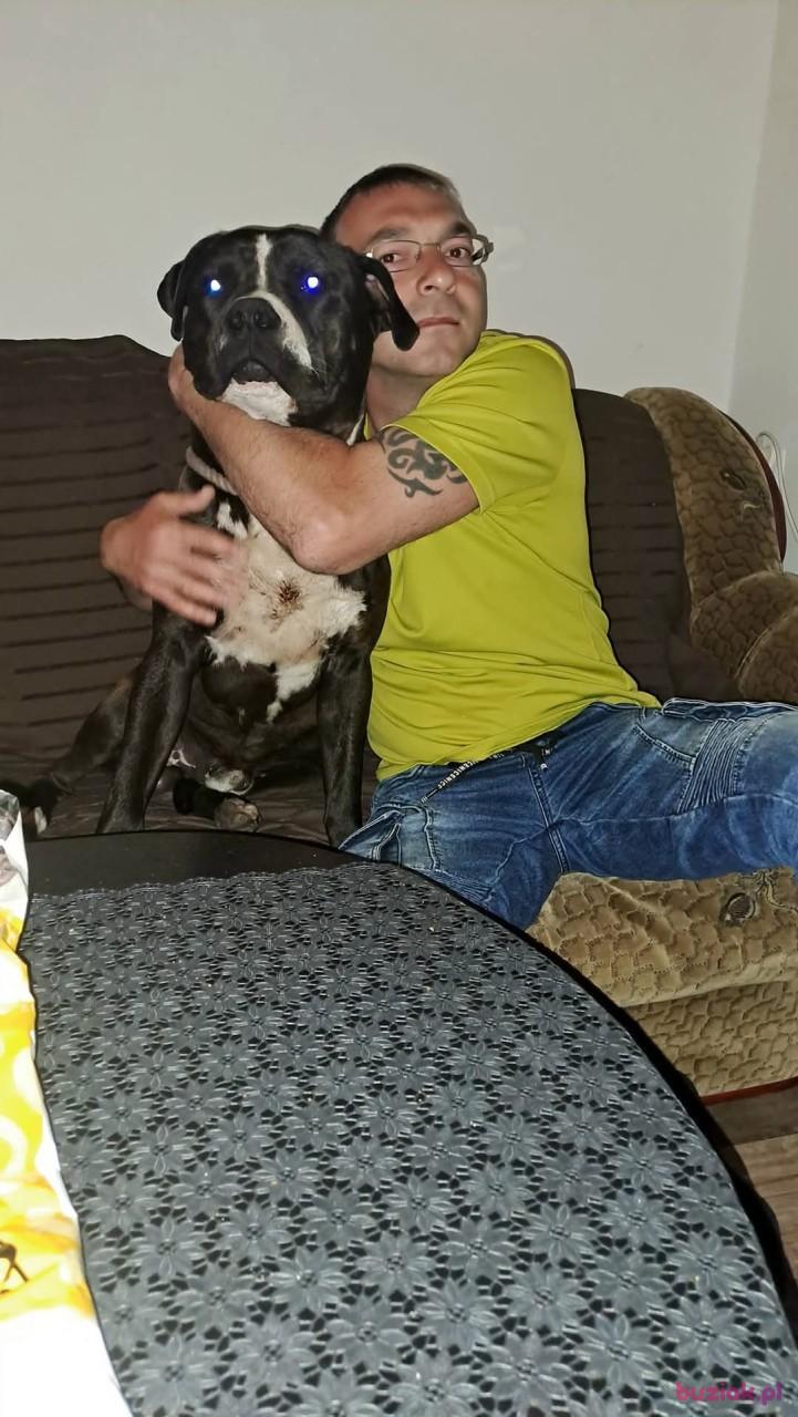 Krzysztof, Mężczyzna, 44, Gniezno, Polska, Zdjęcie: 2