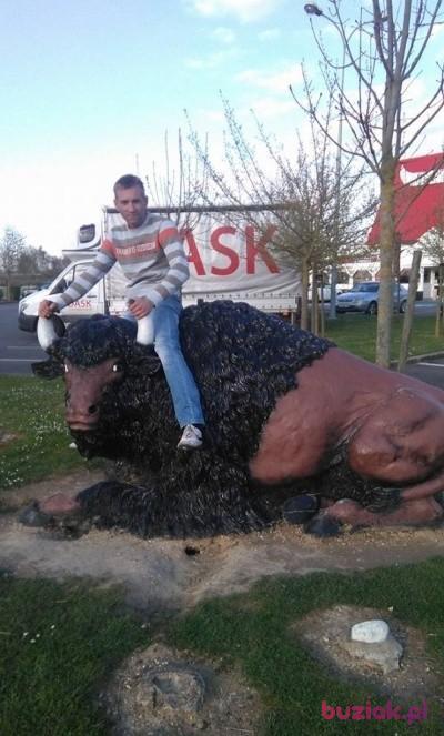 Marcin, Male, 38, Wrocław, Polska, Photo: 3