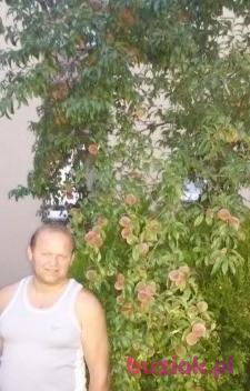 Bogdan, Male, 59, Polska, Photo: 1