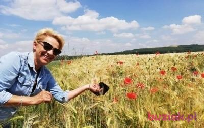 Ewa, Kobieta, 61, Ostróda, Polska, Zdjęcie: 3