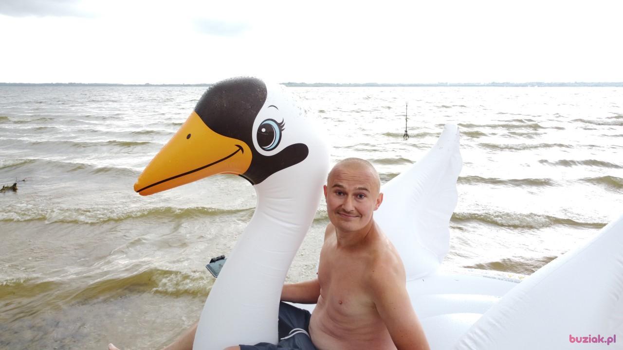 Michał, Male, 37, Zgierz, Polska, Photo: 533