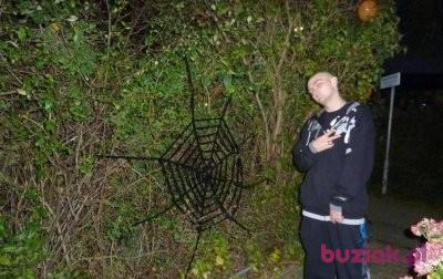Łukasz, Mężczyzna, 36, Holandia, Zdjęcie: 3