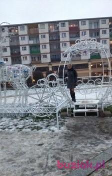 teresa, Kobieta, 76, Legnica, Polska, Zdjęcie: 2