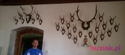 Sebastian , Mężczyzna, 45, Częstochowa, Polska, Zdjęcie: 4