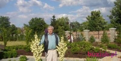 RYSZARD, Mężczyzna, 87, Włocławek, Polska, Zdjęcie: 2