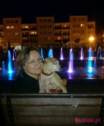 marysia, Kobieta, 74, Polska, Zdjęcie: 1