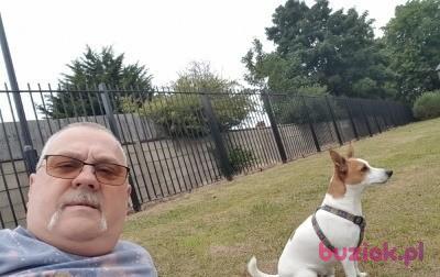 JACEK, Mężczyzna, 68, Westminster, Wielka Brytania, Zdjęcie: 2