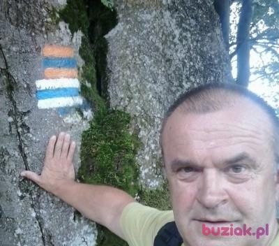 Piotr, Mężczyzna, 64, Biłgoraj, Polska, Zdjęcie: 1