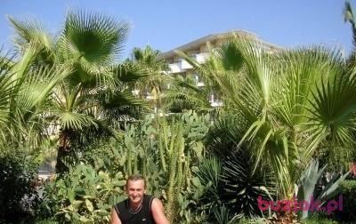Mieczysław, Male, 71, Polska, Photo: 2