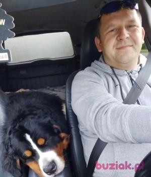 Grzegorz , Male, 42, Sutton in Ashfield, Wielka Brytania, Photo: 3