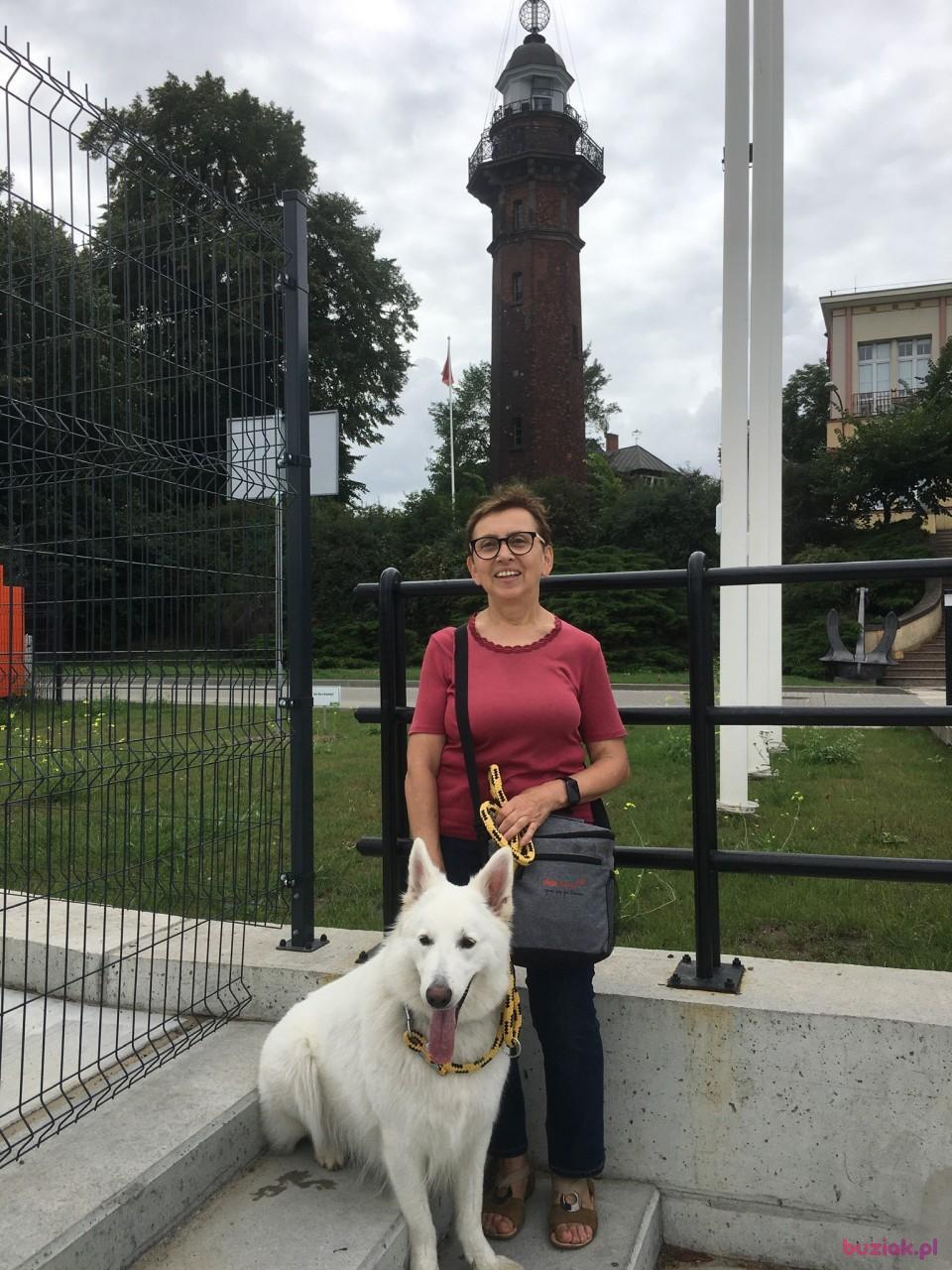 Małgorzata, Kobieta, 69, Gdańsk, Polska, Zdjęcie: 4