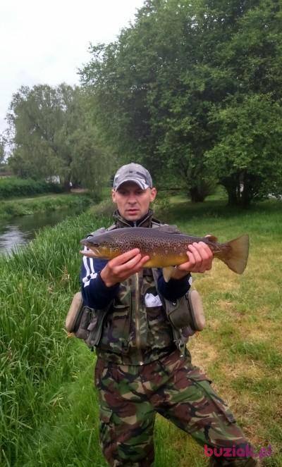 excel, Mężczyzna, 43, Łobez, Polska, Zdjęcie: 4