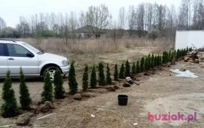 Adam, Mężczyzna, 52, Gorzów Wielkopolski, Polska, Zdjęcie: 2
