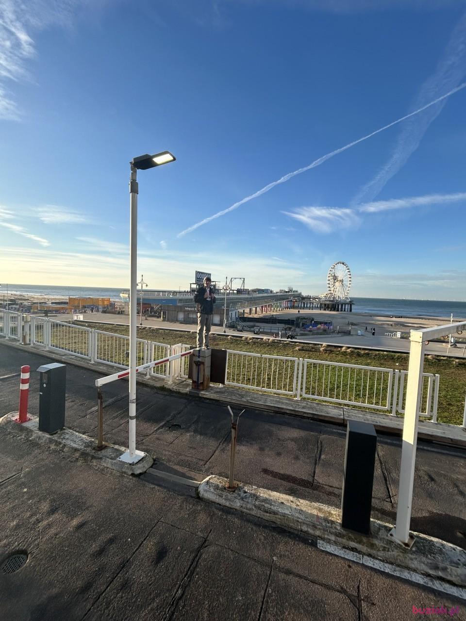 Dami, Mężczyzna, 20, Rotterdam, Holandia, Zdjęcie: 2