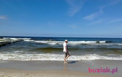 notthingam, Mężczyzna, 49, Sosnowiec, Polska, Zdjęcie: 8