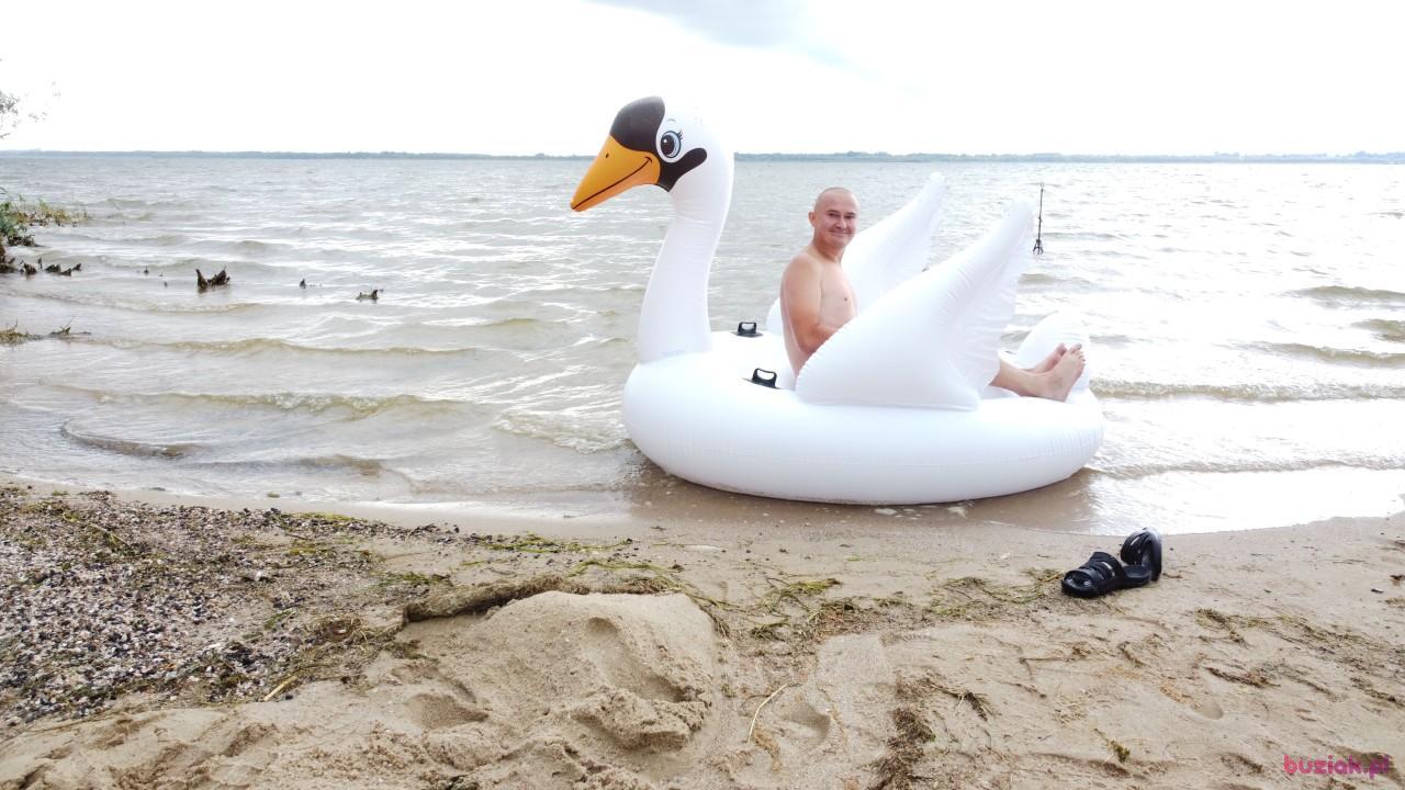 Michał, Male, 37, Zgierz, Polska, Photo: 564