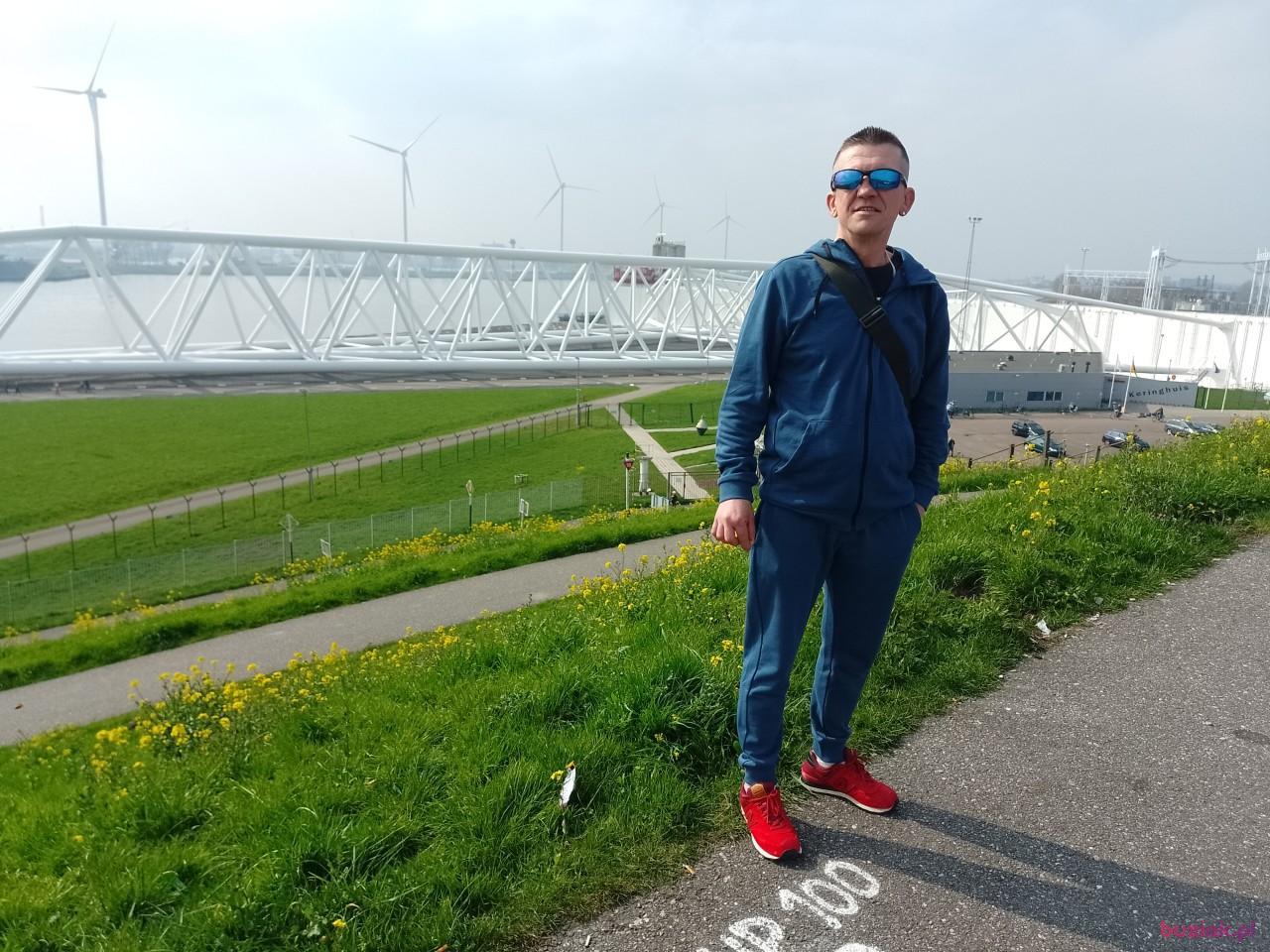 Robert, Mężczyzna, 52, Haarlem, Holandia, Zdjęcie: 3
