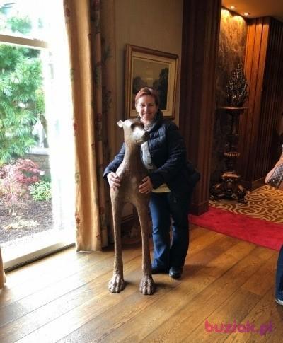 Beata, Kobieta, 61, Bournemouth, Wielka Brytania, Zdjęcie: 3
