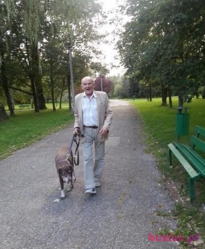 jerzy, Male, 76, Kraków, Polska, Photo: 4