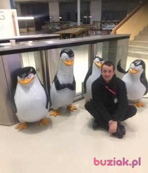 Maciej , Mężczyzna, 36, Wielka Brytania, Zdjęcie: 3