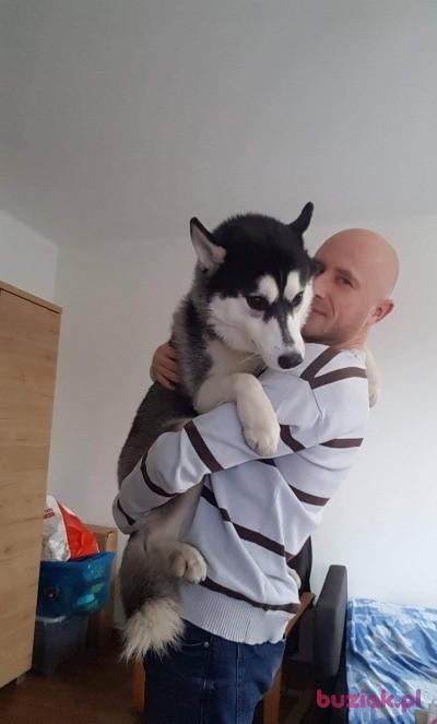 Wilczek81, Male, 44, Katowice, Polska, Photo: 5