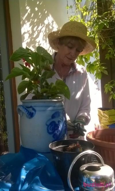 Beata, Kobieta, 63, Kościerzyna, Polska, Zdjęcie: 1