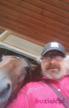 Martin, Mężczyzna, 51, Brwinów, Polska, Zdjęcie: 4