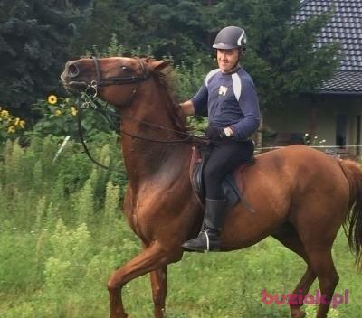 Lech, Mężczyzna, 57, Mława, Polska, Zdjęcie: 5