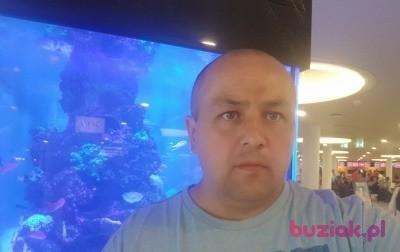 Adam, Male, 49, Frederiksberg, Dania, Photo: 2