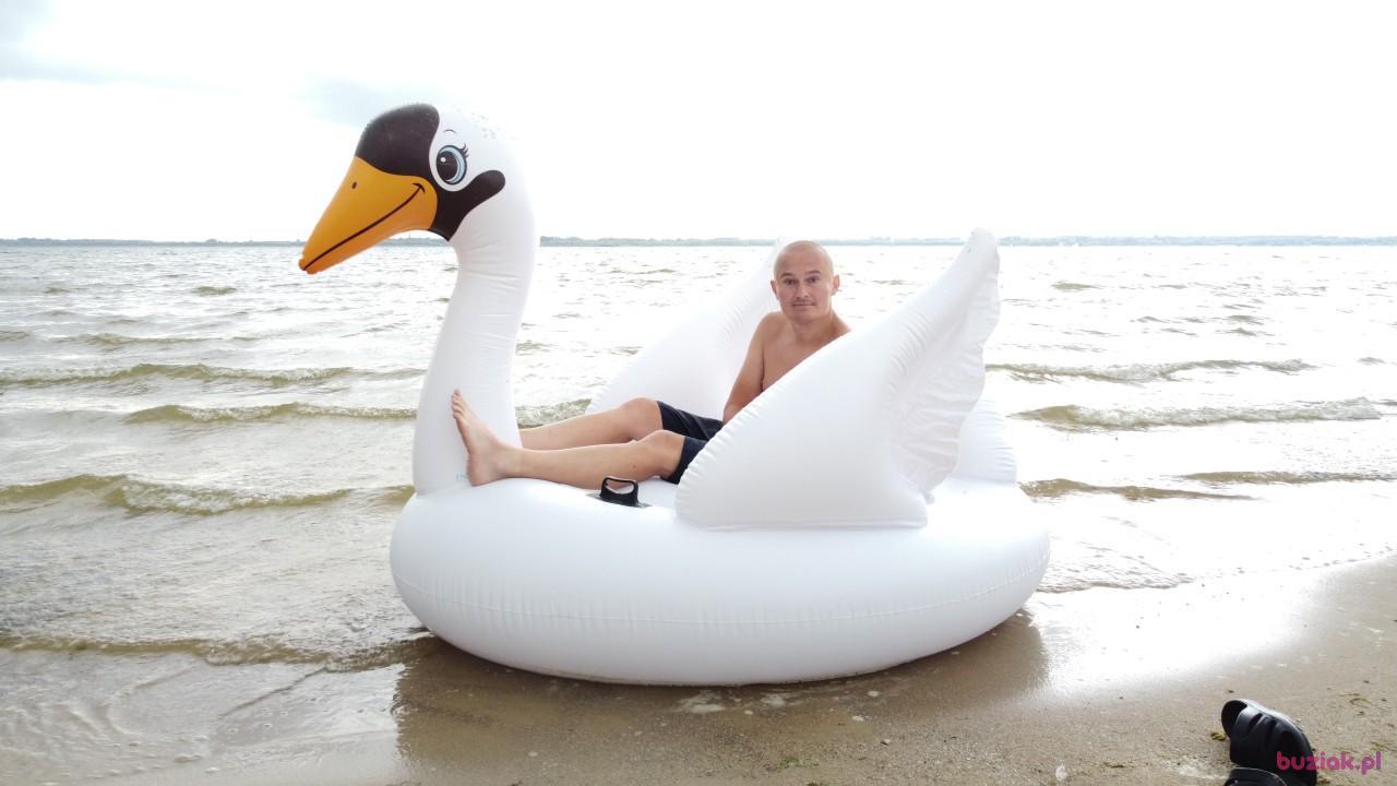 Michał, Male, 37, Zgierz, Polska, Photo: 538