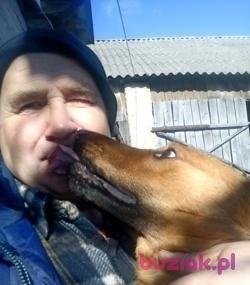 Grzegrz, Mężczyzna, 64, Kock, Polska, Zdjęcie: 2