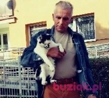 marek, Mężczyzna, 66, Białystok, Polska, Zdjęcie: 2