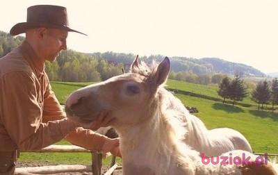Sylvester, Mężczyzna, 56, Gorzów Wielkopolski, Polska, Zdjęcie: 2