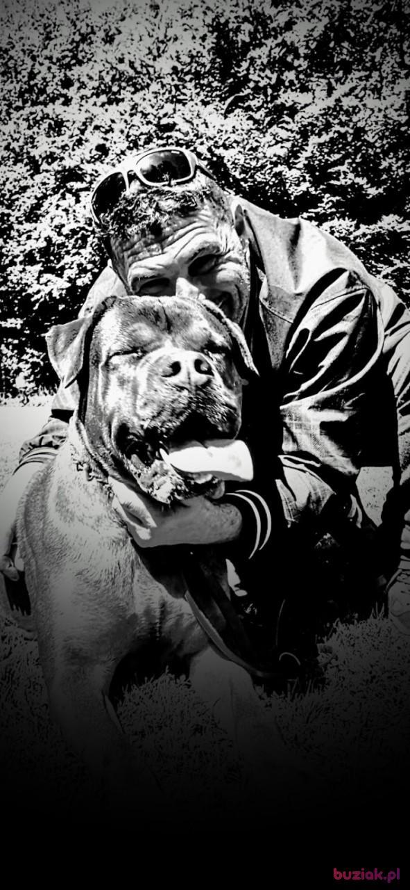 Moh, Mężczyzna, 45, Amsterdam, Holandia, Zdjęcie: 6
