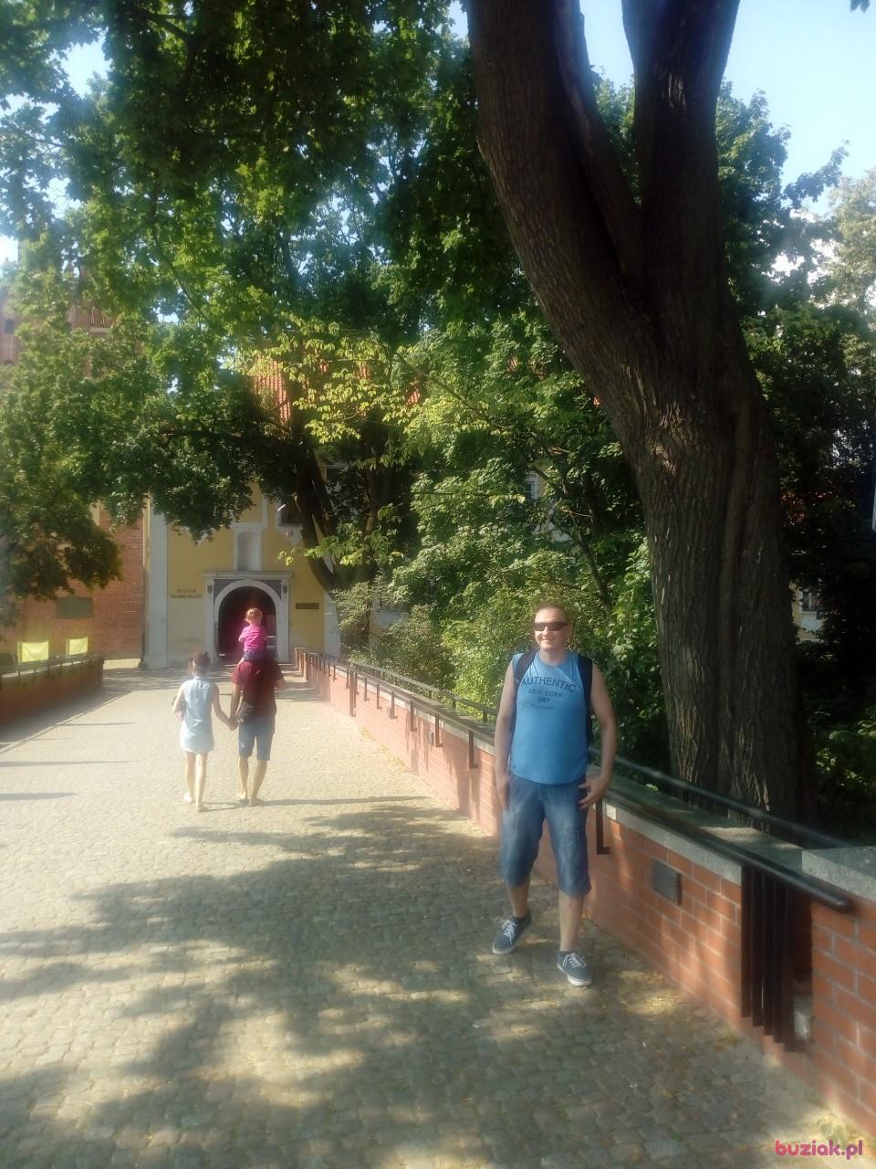 Michał, Mężczyzna, 47, Bydgoszcz, Polska, Zdjęcie: 2