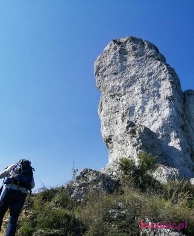 Wookie, Male, 51, Tychy, Polska, Photo: 4