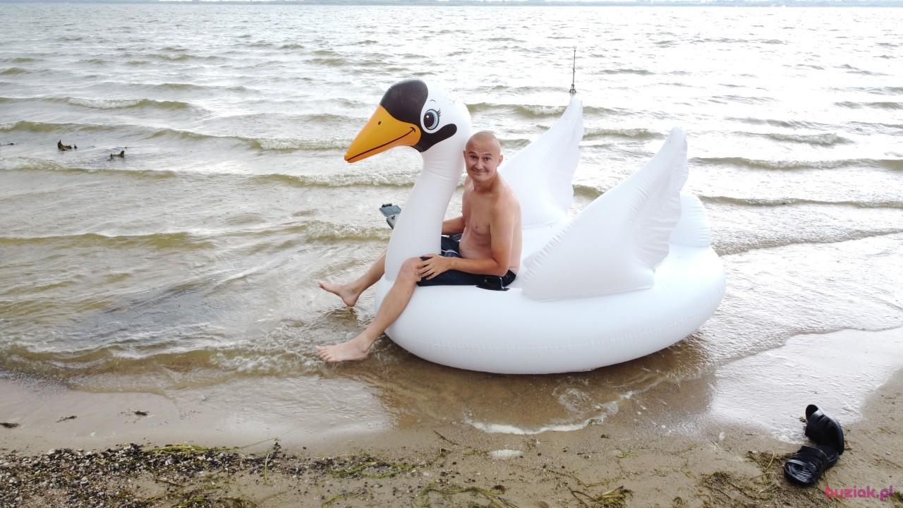 Michał, Male, 37, Zgierz, Polska, Photo: 523