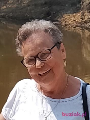 Elzbieta, Kobieta, 72, Polkowice, Polska, Zdjęcie: 14