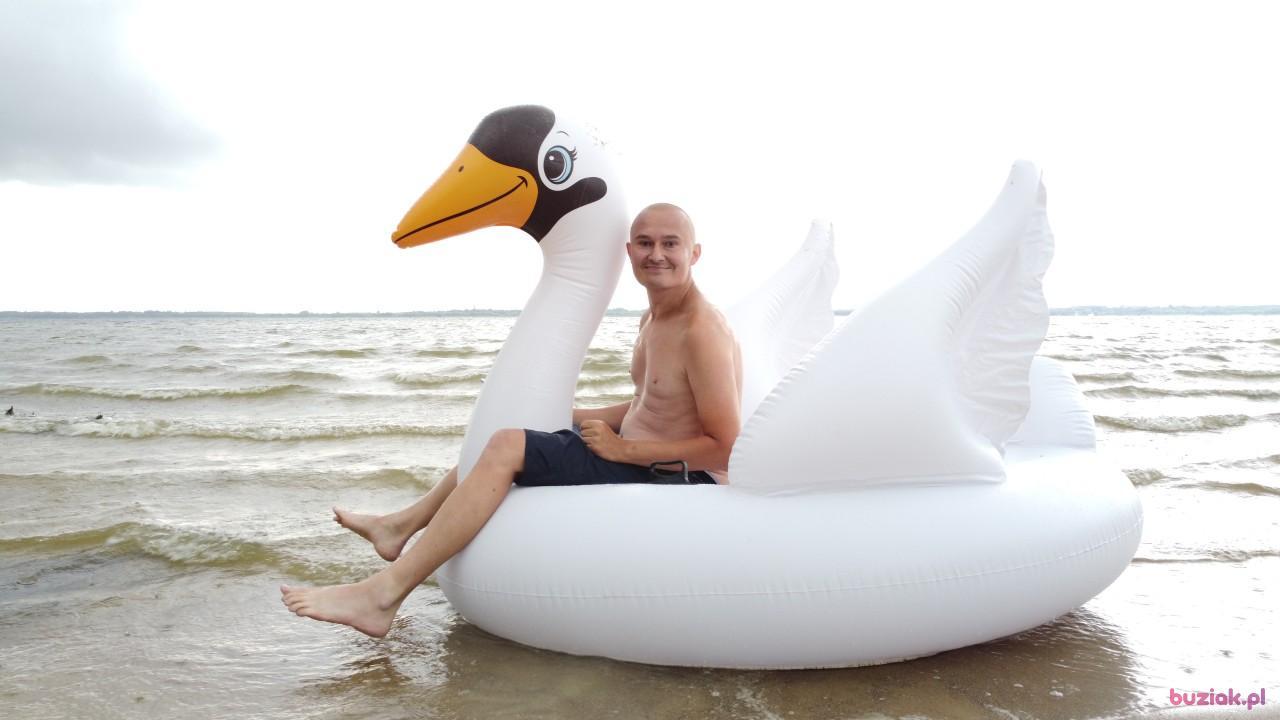 Michał, Male, 37, Zgierz, Polska, Photo: 525
